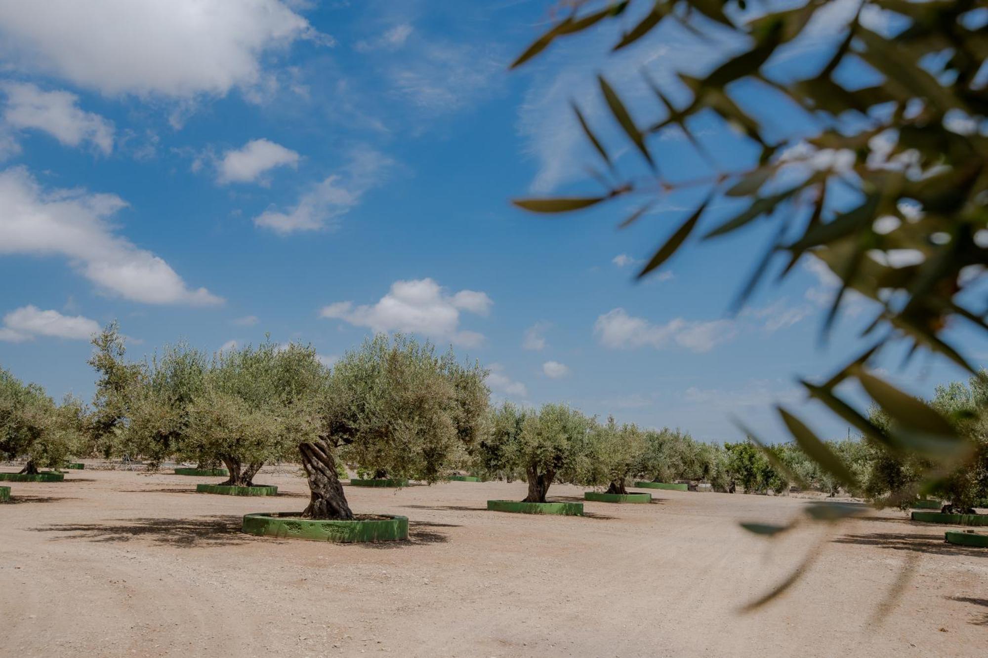 Camarles Villa Rural Avril מראה חיצוני תמונה