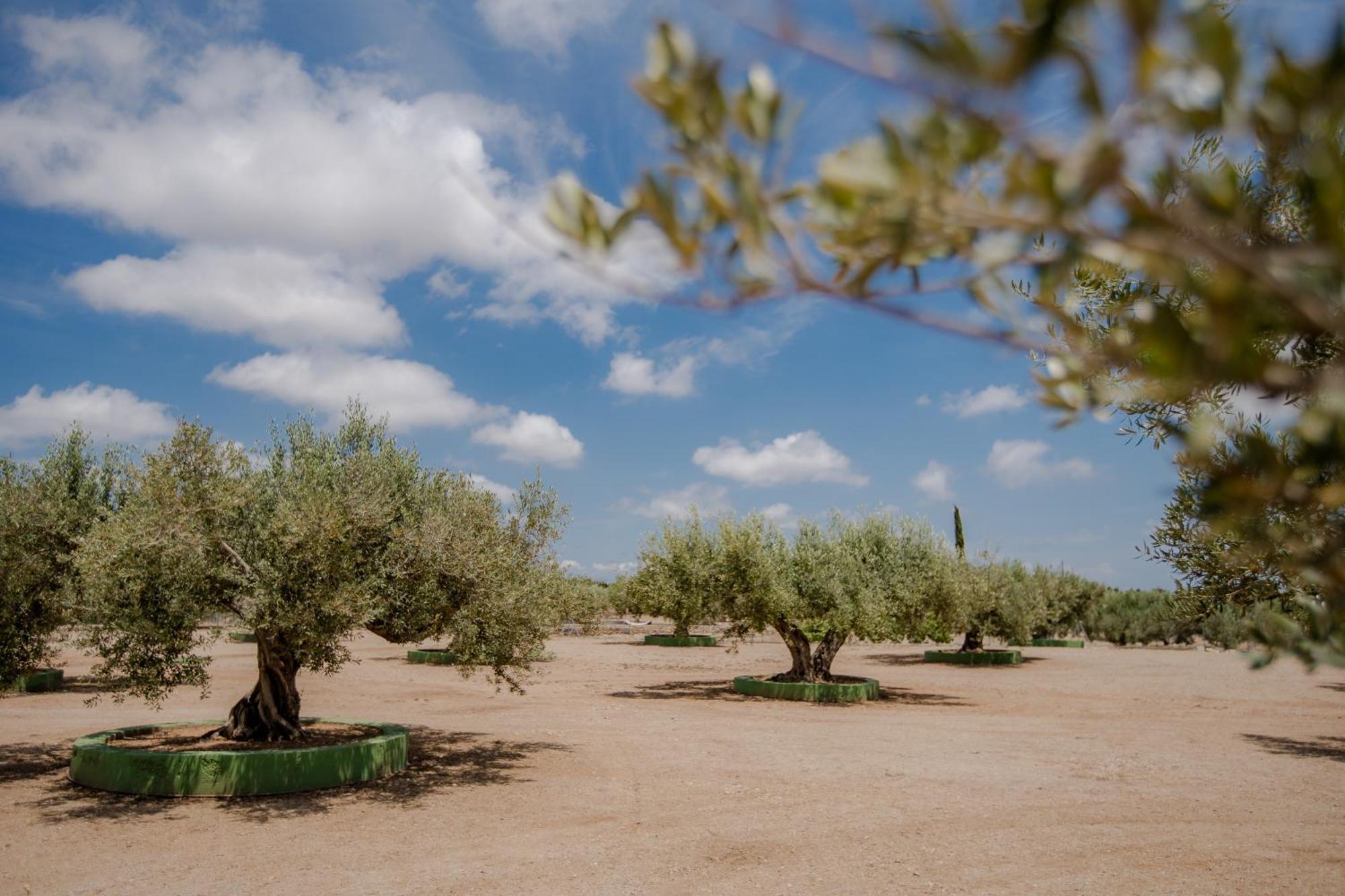 Camarles Villa Rural Avril מראה חיצוני תמונה